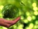 bessere-welt-tree