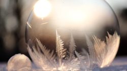 Vortäuschen kugel sonne soap bubble