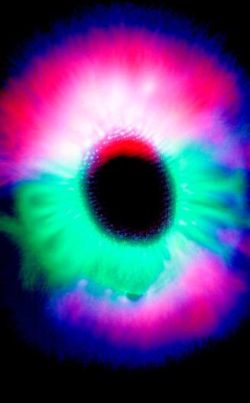 Kirlianfotographie-2-Nadeen-Althoff