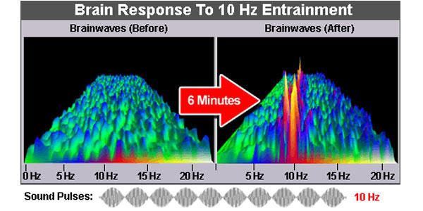 Gehirnwellen brain response