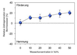grafik-4-Nadeen-Althoff
