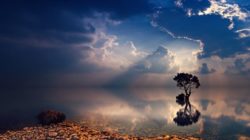 mystisch-heilung-baum-wasser-natur-sunset