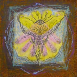 Einhörner sind Sternenwesen Siri trost Wunder