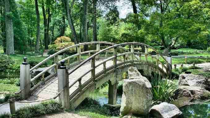 fortschritt-bruecke-natur-bridge