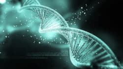 jana-stapel-gene