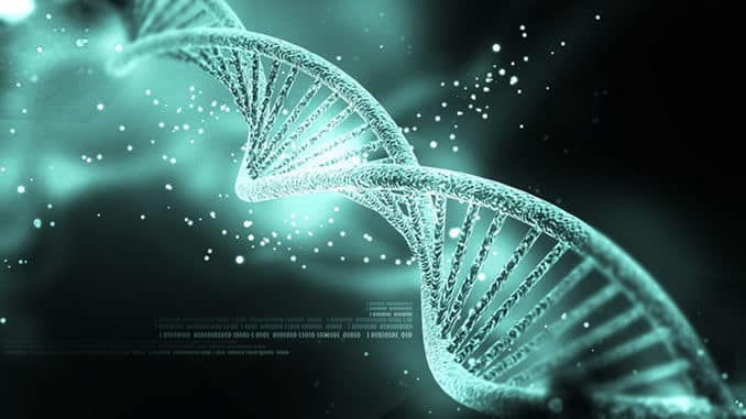jana-stapel-gene