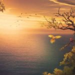 macht-paradies-natur-sea