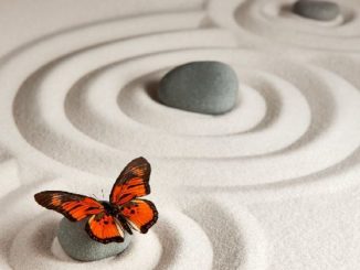 sinn-des-Lebens-steine-schmetterling-zen