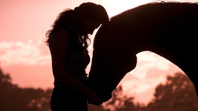 sonnenuntergang-frau-pferd-innig-horse