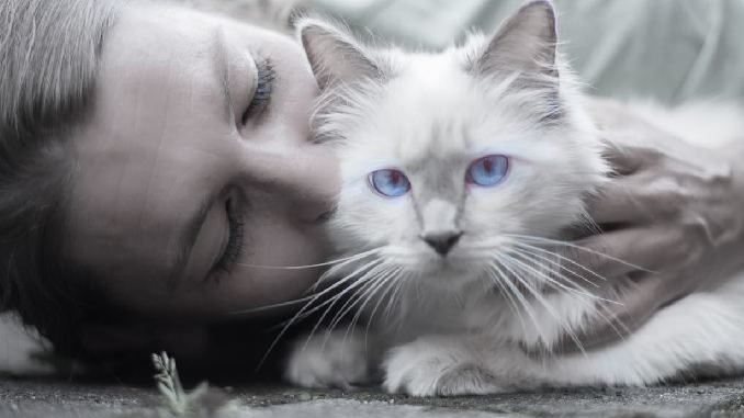 frau katze stressmomente tierkommunikation cat