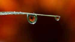 Kinesiologie tropfen auge drops