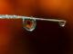 tropfen auge drops