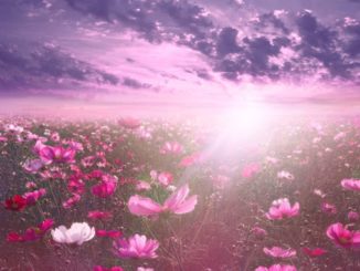 Doreen Draheim erkenne dich selbst hinter der Illusion