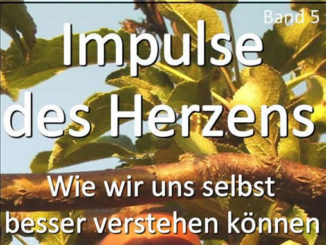Impulse vom Herzen Bjoern Geitmann