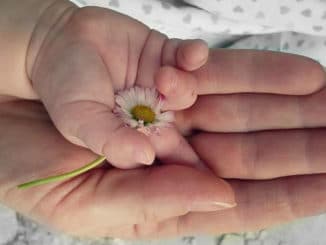 kind-hand-blume-hands