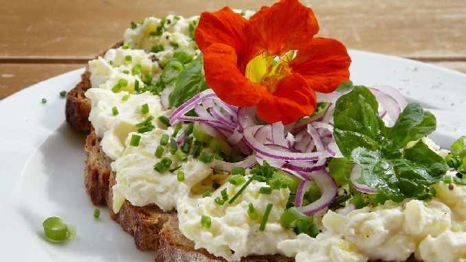 ayurveda wildkraeuter loaf