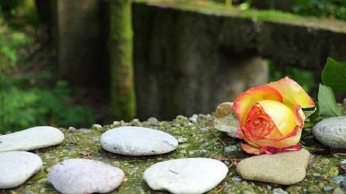 rose steine concentration camp