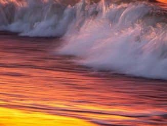 welle transformation sea