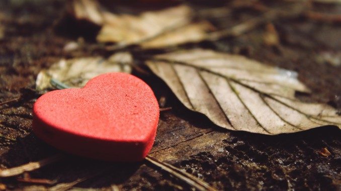 Heike Pranama Wagner Hab und Gut verlieren heart