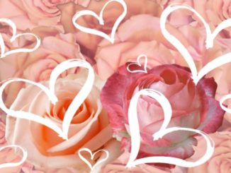 Doreen Draheim geliebt werden postcard