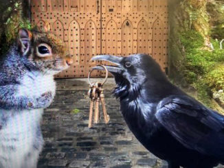 kim-fohlenstein-maerchen