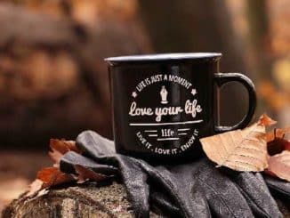 tasse momentaufnahme wald forest