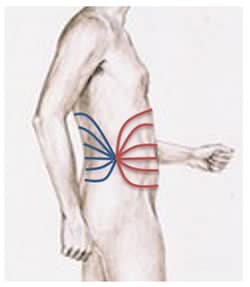 klaus-Ruhland-Cord-cutting