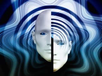 Stefan Schmid Spaltung perception