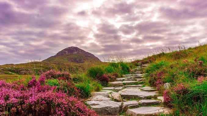 steine weg ireland