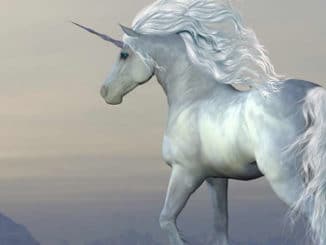 kim-fohlenstein-Einhorn