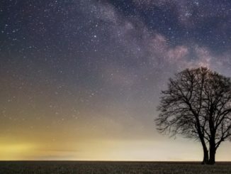 Yvonne Böhm Sternensaat night-sky