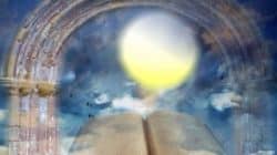 Die große Licht und Liebe Falle buch licht fantasy