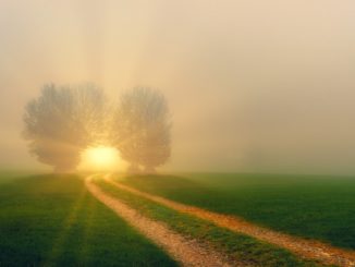 Probleme Wahrheit Suche hope