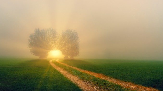 Probleme Wahrheit Suche hope