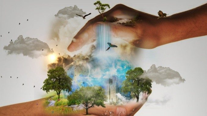 Schutz sich schützen natural-reserve