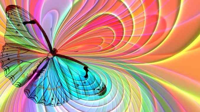 schmetterling abstrakt