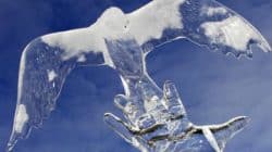 Krieg beenden Frieden finden eis taube hand peace