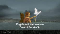 seminar engel naturwesen