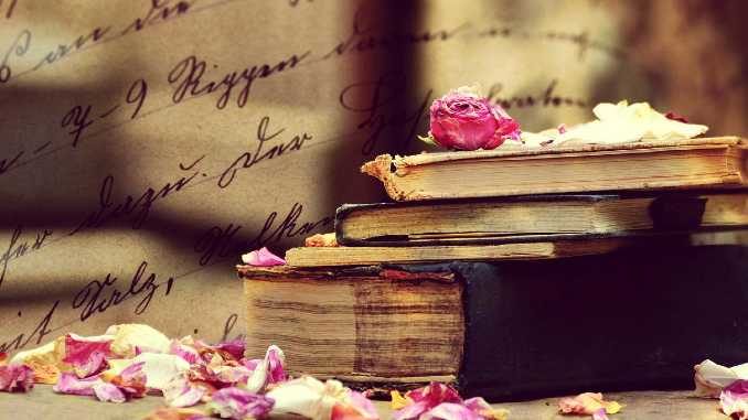 buch blaetter book