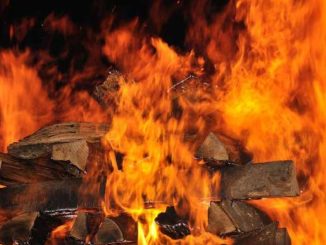 feuer vip coaching