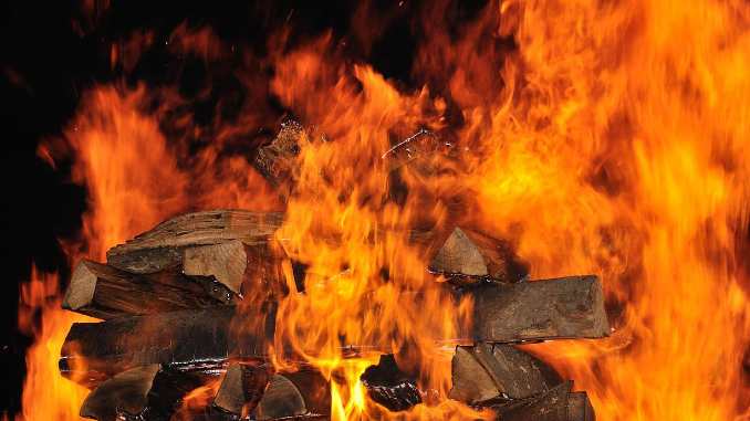 feuer vip coaching