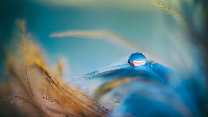 tropfen feder droplet