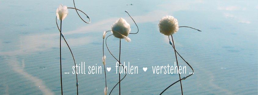 still sein zander