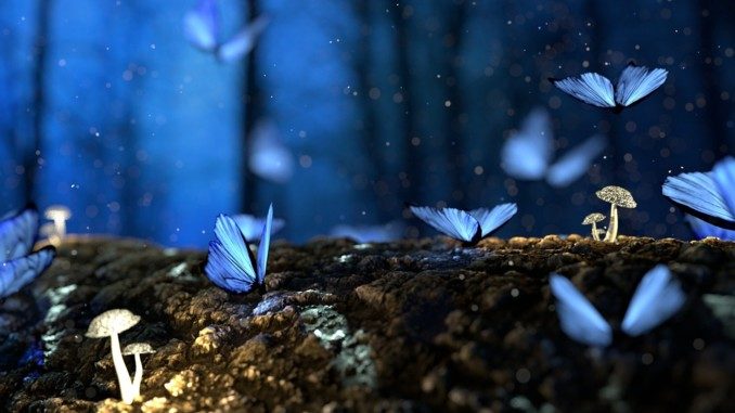 Natur Bewusstsein fantasy