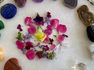 editha wuest edelsteine august 2022