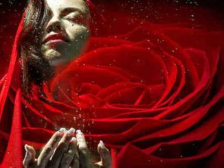 frau rose Eigenliebe woman