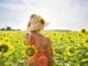 frau sonnenblumen feld woman