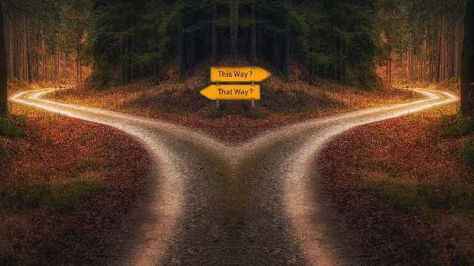 natur kreuzung decision