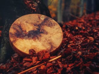 Canstockphoto jana stapel trommel wald.