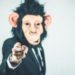 affe maske anzug ape